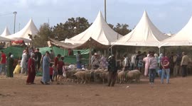 Drought in Morocco drives up sheep prices for Eid al-Adha