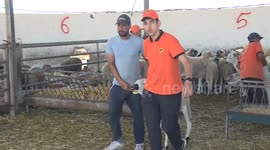 Morocco: Eid al-Adha celebration in Casablanca