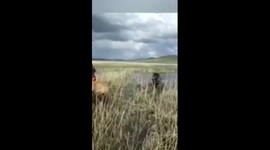 Trapped foal saved by herder in China's Inner Mongolia