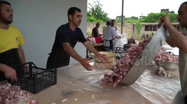 Azerbaijan: Procuring meat for distribution to people in need during the Eid al-Adha in Baku