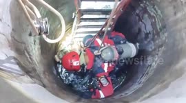 The Rescue Of A Cow That Fell Into A Well In Indonesia Was Dramatic