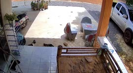 Family rush to help grandmother when she topples over