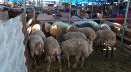 Azerbaijan: Eid al-Adha holiday in Baku