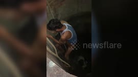 India: Cow rescued from well full of snakes in Shahdol