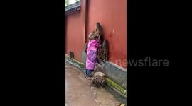 Terrifying moment woman swarmed by food-seeking monkeys at Chinese scenic area
