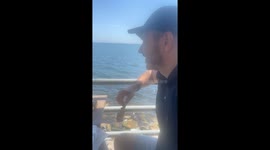 a seagull wanted to eat steak so I gave it to him