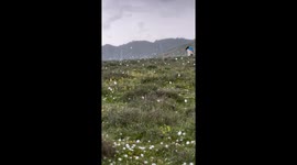 Huge Hail In Mountains