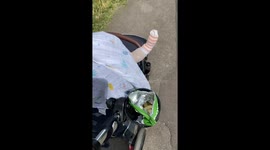 Lightning Reaction As Soon As Food Is Involved