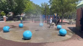 Heatwave Relief: Splash Pad Fun