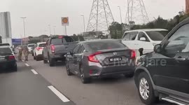 Escaped cows run along motorway in Malaysia