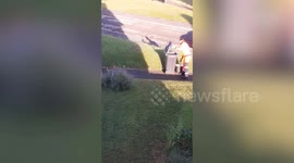 Binman caught on camera mixing rubbish - leaving homeowner frustrated