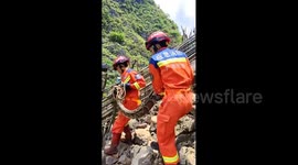 Firefighters remove giant python from sheep pen after it devours lamb in China