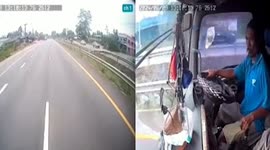 Heroic pet pit bull dogs defuse tense road rage incident