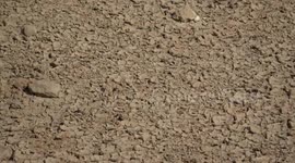 Syria faces severe water shortage, desertification, warn officials