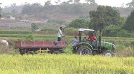 African agriculture thrives with Chinese technology, market access