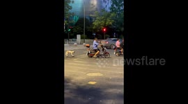 Chinese man takes dog for a ride on motorcycle-pulled skateboard
