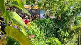 Mexico: DNA Provides New Clues How the Mayans Selected Sacrificial Victims