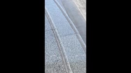 Pair of baby lizards poke out from gap between steps