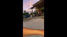 Territorial rooster chases man down street