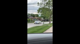 Owner Walks Dog From The Driver's Seat