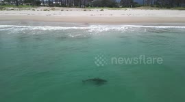 Shark patrols waters close to shore of Pauanui Beach, New Zealand
