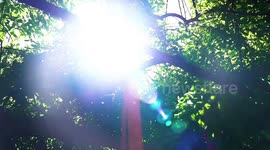 Treasure hunt at China's Guangsheng Temple