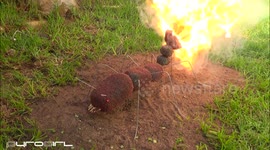 Ant made out of 12,000 matches burns in impressive chain reaction