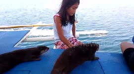 Curious otters and kids out on the boat