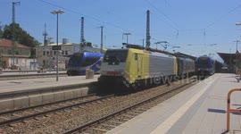 Güterzug macht Zwangsbremsung