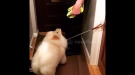 Twerking cloud!