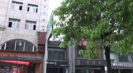 汽车上墙