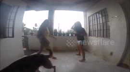 Dog 'attacks' teenagers in funny dancing fail