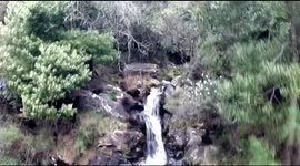 Drone flight through trees ends in crash