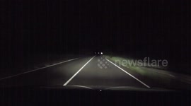 Driver nearly hits a wild boar on Spanish country road