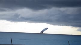 Paragliding spinning manoeuvre ends up in crash