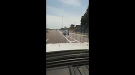Only in Florida