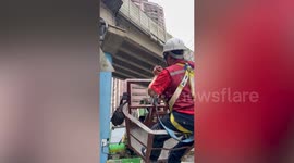 Officers rescue cat stranded under overpass bridge
