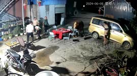 Unexpected cow crash disrupts late-night gathering in southern China