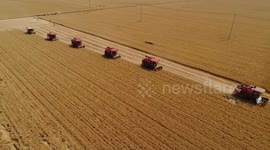 China expects bumper summer harvest
