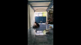 Woman washes pet ducks in her flooded house