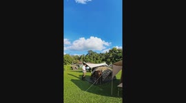 Hungry wild deer rummages through tents at Thai campsite