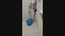 Hissing wild cobra found in terrified family's bathroom