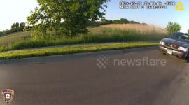 USA: Joliet Police Officer Rescues Snapping Turtle, Ensures Safe Crossing