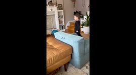 Boy Meets His Baby Sister For the First Time