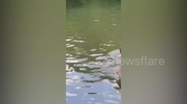 Residents call the cops on two women kissing in park in China