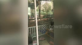 Woman horrified by thousands of bugs in her home
