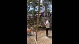 Human-deer interaction features hilarious bow and feed