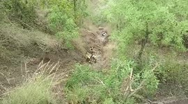 Disaster response team's quick action rescues injured in northern India crane accident