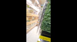 Fearless woman embarks on hilarious mission to capture giant flower beetle in the shop