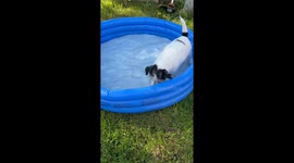 Playing in water in the warm weather